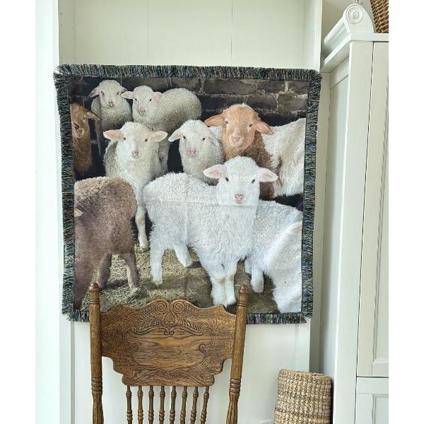 ラグ ラグマット フリンジラグアソート