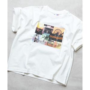tシャツ 「COTTON from U.S.A」...の商品画像