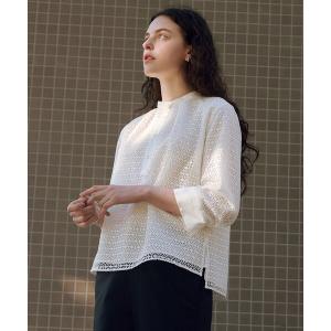 tシャツ 「一枚で着映え」レースジャージー バンドカラー カットソー レディース