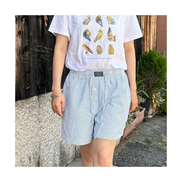 パンツ ストライプショートパンツ レディース