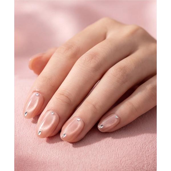 ネイルチップ ネイルシール 「not a nail」水光マグネットデザインロングネイルチップ