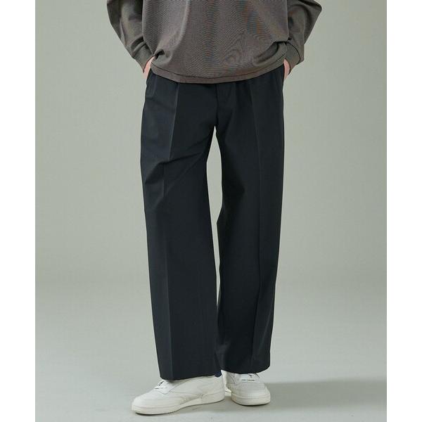 スラックス トロストレッチ 2タック イージーワイドスラックス / ワイドパンツ メンズ レディース