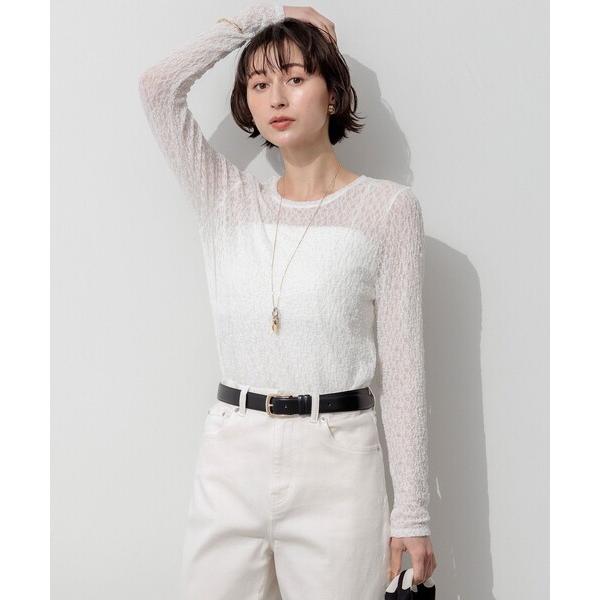 tシャツ リンクルレース シアー カットソー レディース