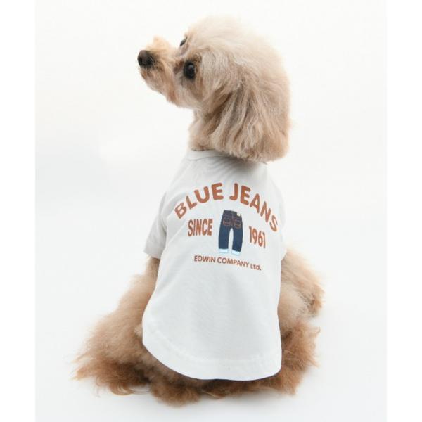 犬 服 EDWIN/BLUEJEANSカジュアルT