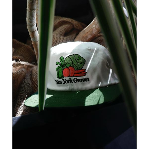 キャップ 帽子 ONLY NY / オンリーニューヨーク New York Grown Hat メン...