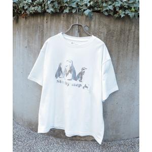 Pal'las Palace（パラスパレス） シャツワンピース FREE グリーン