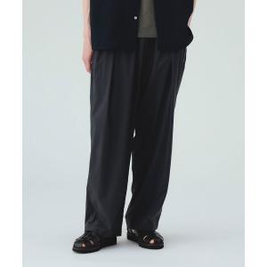 BEAMS（ビームス） パンツ 「別注」Dickies / ワイド チノ パンツ