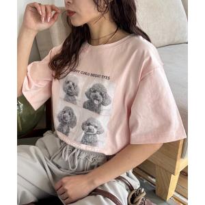 tシャツ 犬アソートフォトプリント半袖Tee レディース
