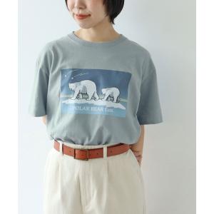 tシャツ 「WEB限定」POLAR BEAR fam.Tシャツ レディース