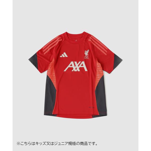 tシャツ 「Liverpool FC / リバプール FC」ADIDAS TR JSY Y メンズ