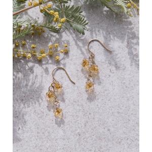 HARIO ミモザ ピアス レディースの買取情報