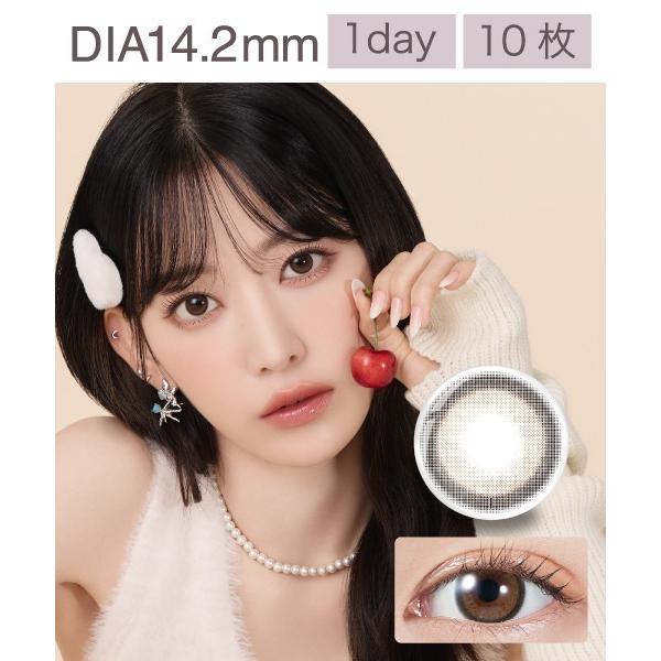 カラコン コンタクトレンズ モラク MOLAK TORIC 1day ブラウンバニー「CYL:-1....