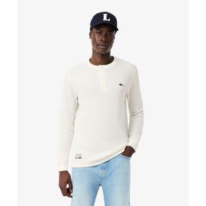 LACOSTE（ラコステ） Tシャツ 長袖 ワニロゴ 定番 ワンポイント