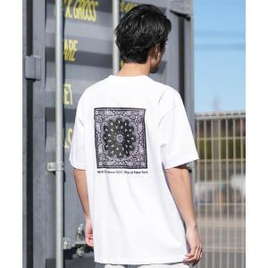 ニューエラ tシャツ NEW ERA/ニューエラ 半袖 Tシャツ バックプリント Paisley メンズ レディース