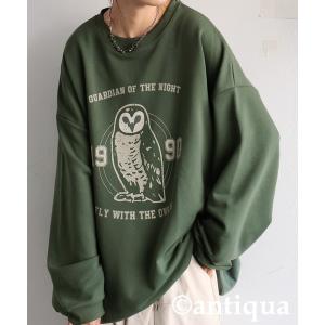 アンティカ antiqua tシャツ 綿100％ アニマルロゴ トレーナー レディース メンズ
