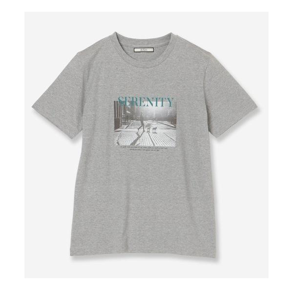 tシャツ 半袖 「R-ISM人気アイテム・洗える」フォトプリントTシャツ（DOG） レディース