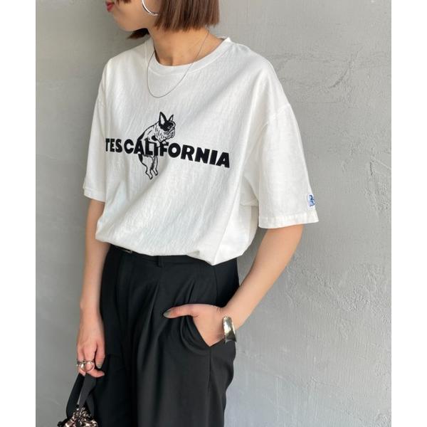 tシャツ 「THE ENDLESS SUMMER/エンドレスサマー」 TEC CAL フロッキーロゴ...