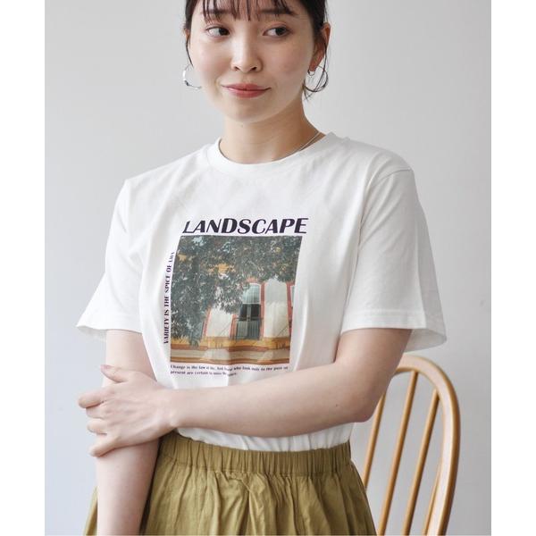 tシャツ カラーフォトプリントコンパクトＴ レディース