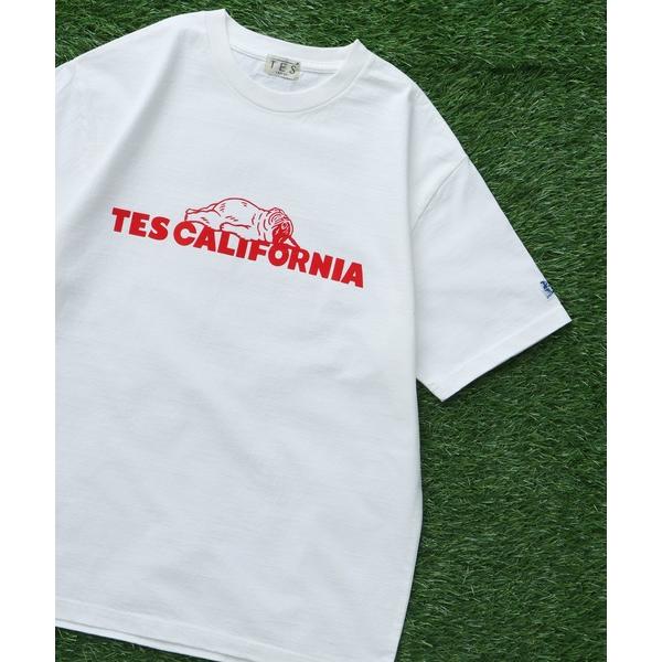 tシャツ TES SAME OLD TEE / Tシャツ メンズ レディース