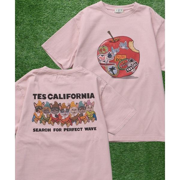tシャツ TES SEVENS BUHI-TEE / Tシャツ メンズ レディース