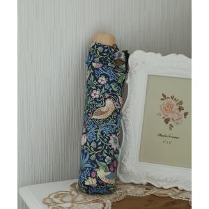 折りたたみ傘 V＆A 晴雨兼用UVカットいちご泥棒ミニ折傘５０ｃｍ メンズ レディース