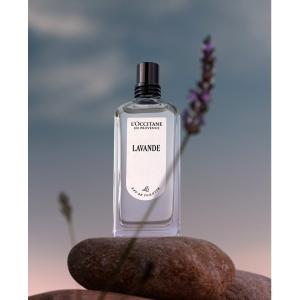 L'OCCITANE（ロクシタン） 香水 「季節限定品」ミモザ オードトワレ
