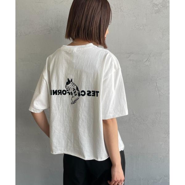 tシャツ 「THE ENDLESS SUMMER/エンドレスサマー」 別注 TES CAL フロッキ...