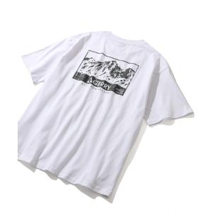 tシャツ 「GERRY/ジェリー」アソート バッ...の商品画像