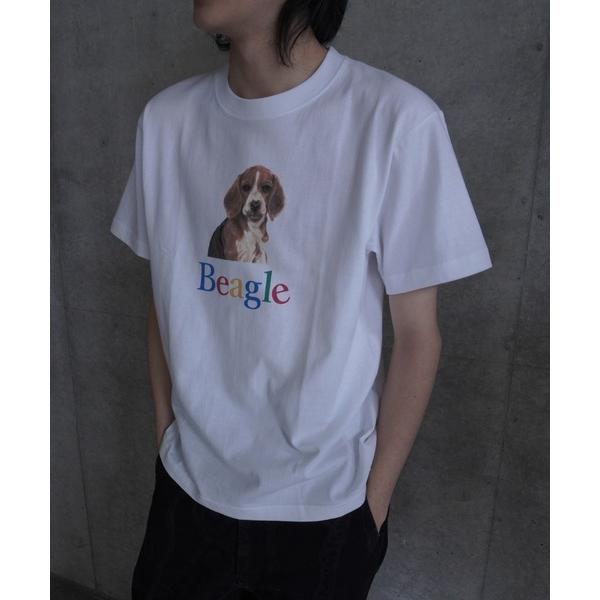 tシャツ BEAGLE T-SHIRTS メンズ レディース