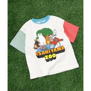 tシャツ 「リンク」旭山動物園応援商品 バリエーションTシャツ キッズ 子供服 男の子 女の子