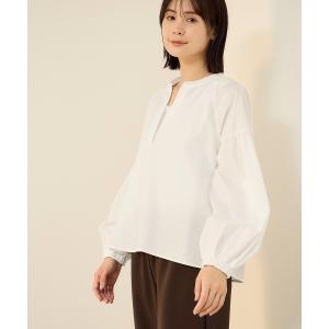ブラウス シャツ ハイカウントタイプライターキーネックブラウス レディース
