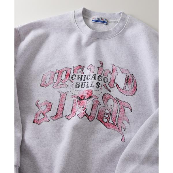 「NBA」 スウェットカットソー LARGE グレー メンズ