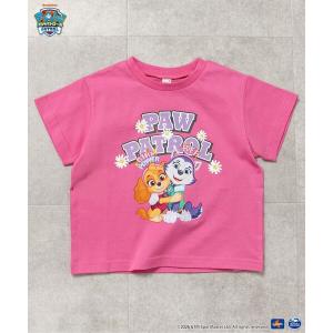 tシャツ PAW Patrol 4柄Tシャツ キッズ 子供服 男の子 女の子