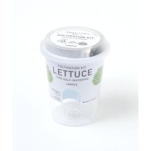 インテリア 育てるグリーン「野菜」 / 656414