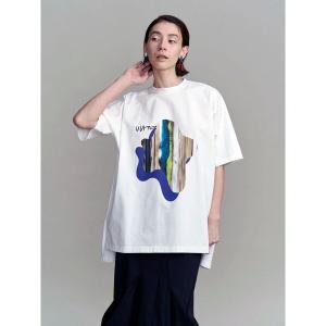 tシャツ TIE-DYE STRIPE PRINT T-SH / タイダイストライププリントTシャツ レディース メンズ