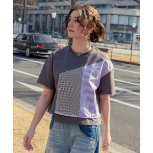 tシャツ AULA AILA/アウラアイラ/別注メッシュコンビネーションＴシャツ レディース