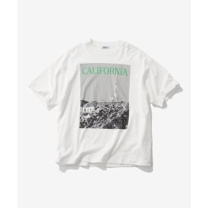 tシャツ カラーロゴフォトプリントTシャツ メンズ レディース