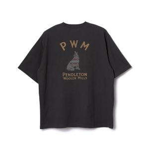 tシャツ PENDLETON/ペンドルトン ショートスリーブ ナショナルパークガーメントダイ バックプリントTシャツ メンズ レディース
