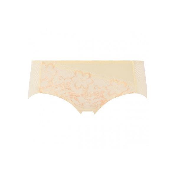 ショーツ ボーイズレングス ドリームデイリリー AMST1430 PT JX