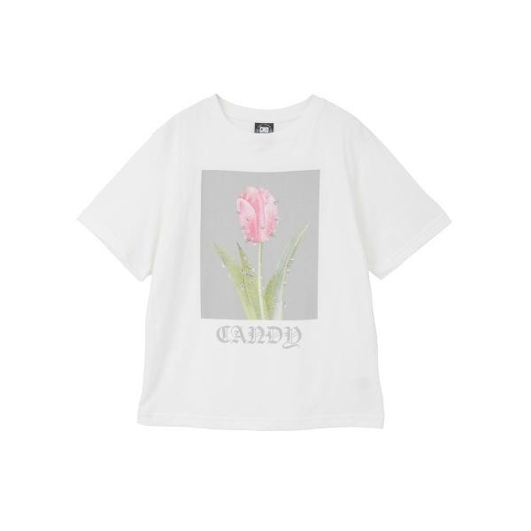 tシャツ PIERCED TULIP Tシャツ レディース メンズ