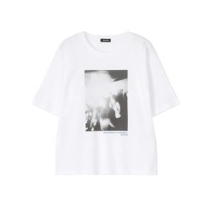 tシャツ DISCO PHOTO T / Tシャツ レディース メンズ