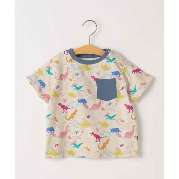 tシャツ SHIPS KIDS:80〜90cm /ダイナソー Tシャツ キッズ 子供服 男の子