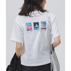 アディダス　adidas tシャツ 半袖 「別注」アディダス adidas フォト グラフィック サマー Tシャツ 限定コラボ レディース
