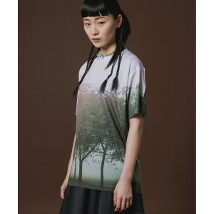 tシャツ DIRECT PRINT T-SHIRT レディース メンズ