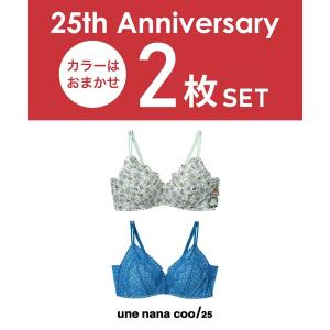 25周年記念ブラジャー2枚セット