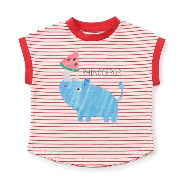 tシャツ 「接触冷感」動物プリント半袖Tシャツ キッズ 子供服 男の子 女の子