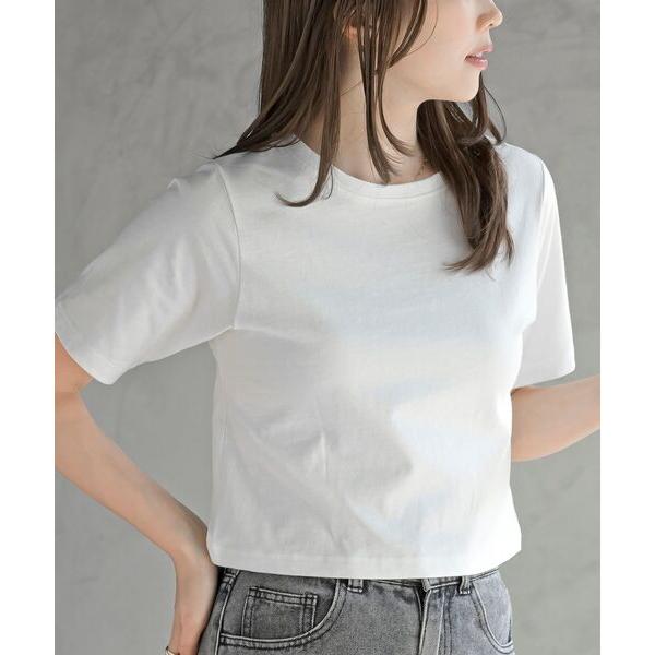 tシャツ コンパクトＴ レディース