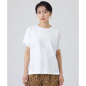 tシャツ 半袖 「カタログ掲載・ウォッシャブル」クリアチータープリントカットソー レディース