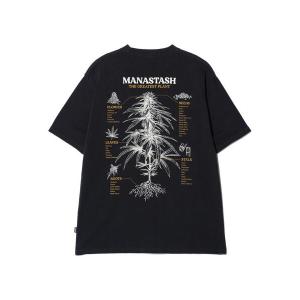 tシャツ MANASTASH/マナスタッシュ/HEMP TEE TGP メンズ