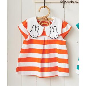 tシャツ Dick Bruna ボーダーチュニッ...の商品画像